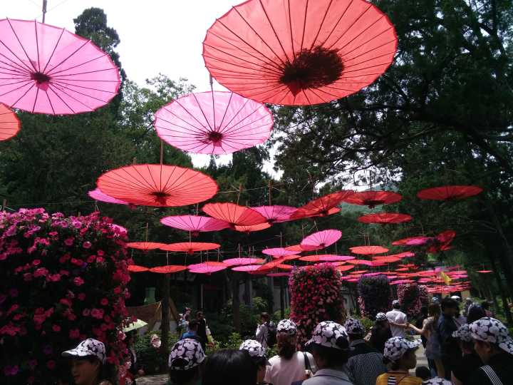 QQ_103250212_2015528141122ej58CbF9wWcj3ASP8C8a